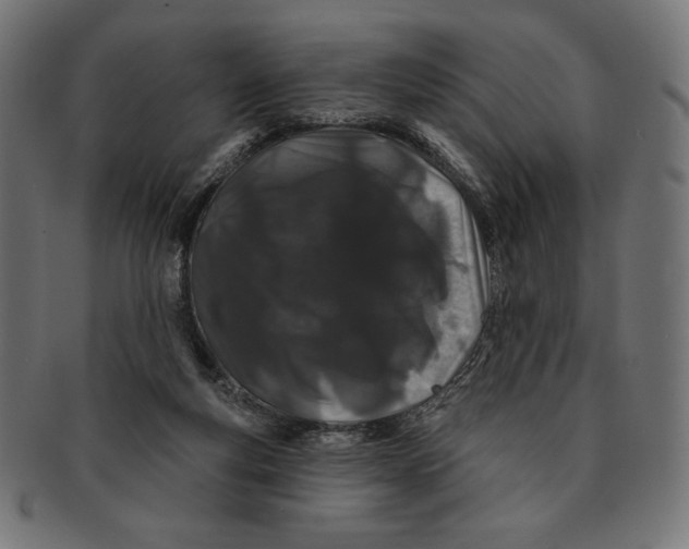 X0000091170163200709060941