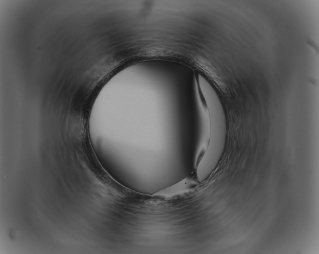 X0000091170164200709060941
