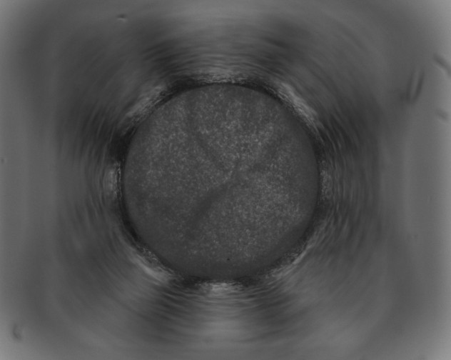 X0000091170165200709060941