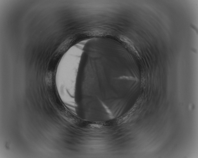 X0000091170167200709060941