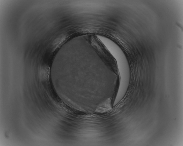 X0000091170168200709060941