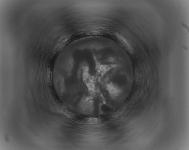 X0000091170169200709060941