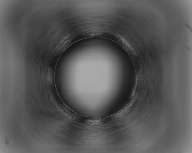 X0000091170170200709060941