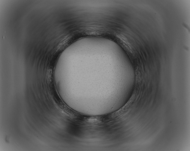 X0000091170171200709060941