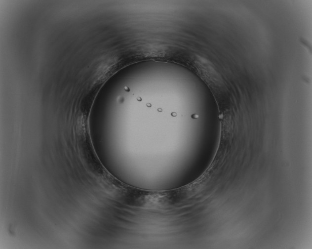 X0000091170172200709060941