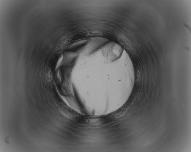 X0000091170173200709060941