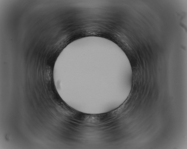 X0000091170174200709060941