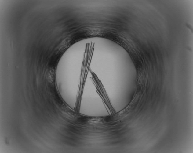 X0000091170175200709060941
