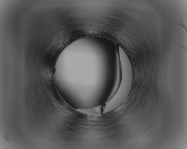 X0000091170176200709060941