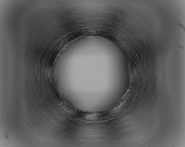 X0000091170178200709060941