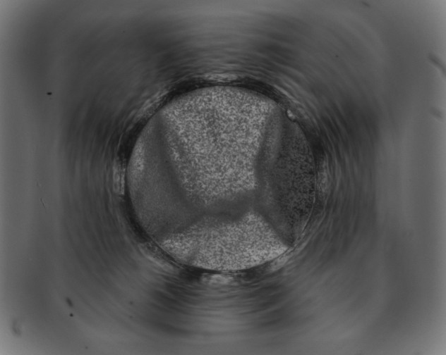 X0000091170180200709060941
