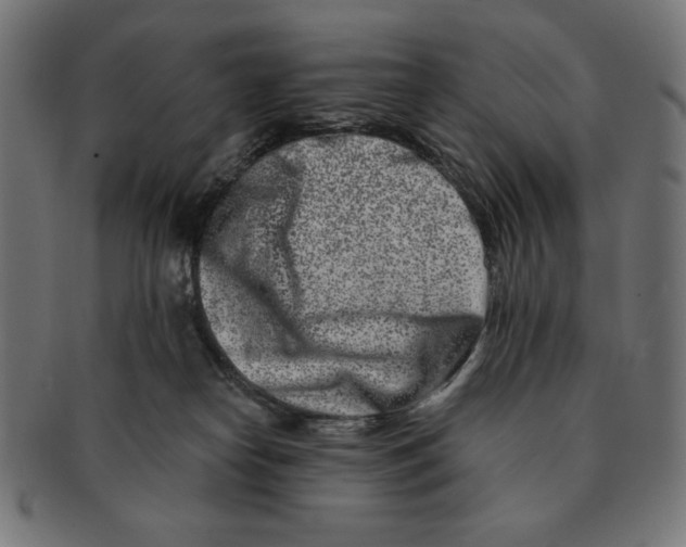 X0000091170182200709060941