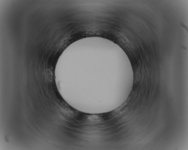 X0000091170183200709060941