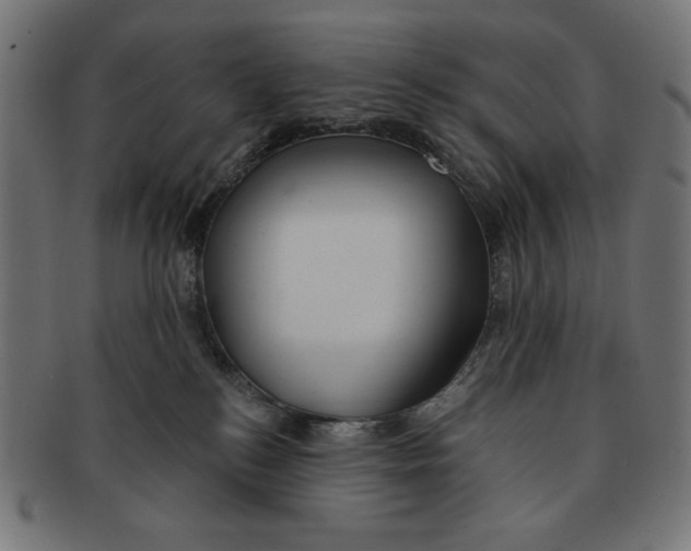 X0000091170184200709060941