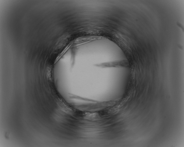 X0000091170185200709060941