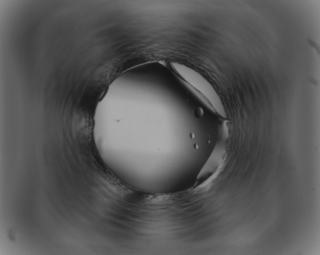 X0000091170186200709060941