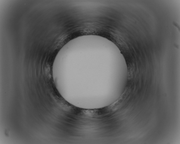 X0000091170187200709060941