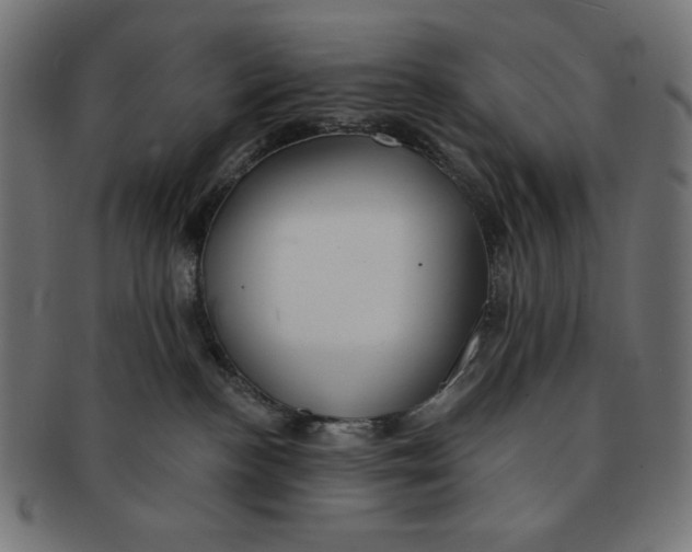 X0000091170188200709060941