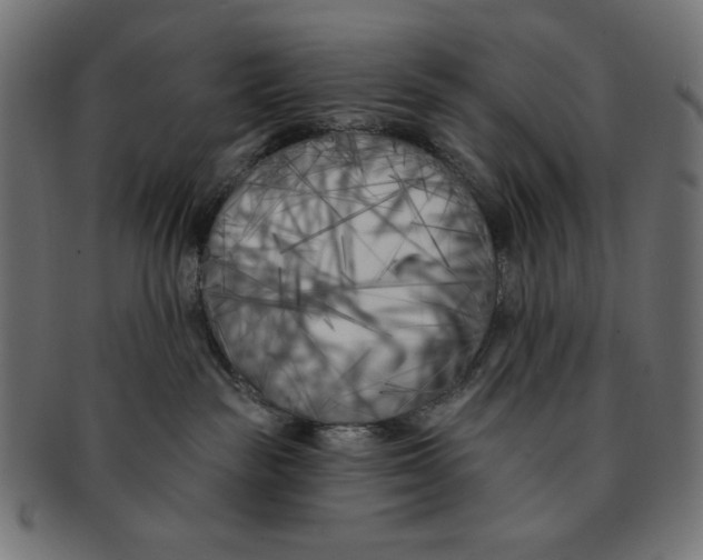 X0000091170189200709060941