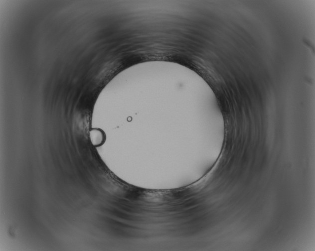 X0000091170190200709060941