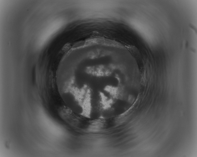 X0000091170191200709060941