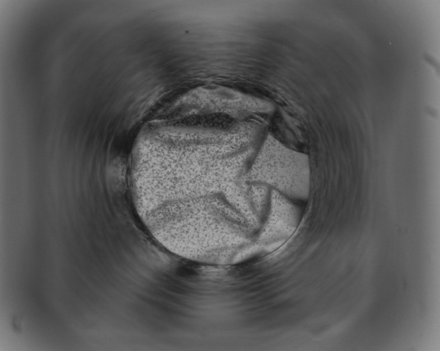 X0000091170192200709060941