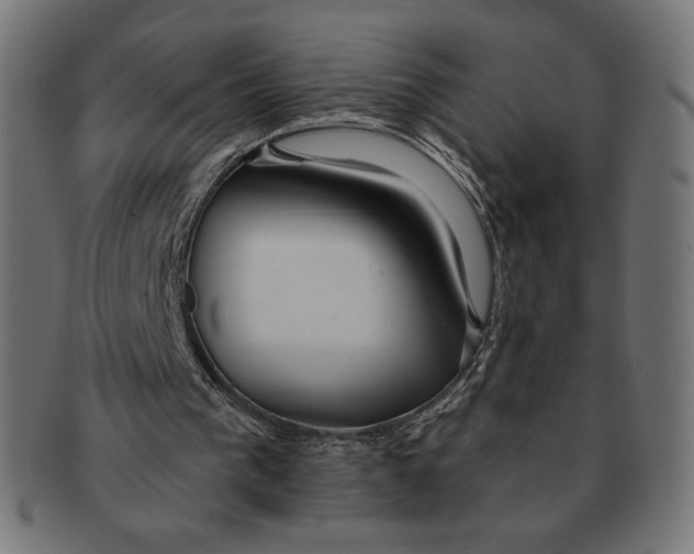 X0000091170193200709060941