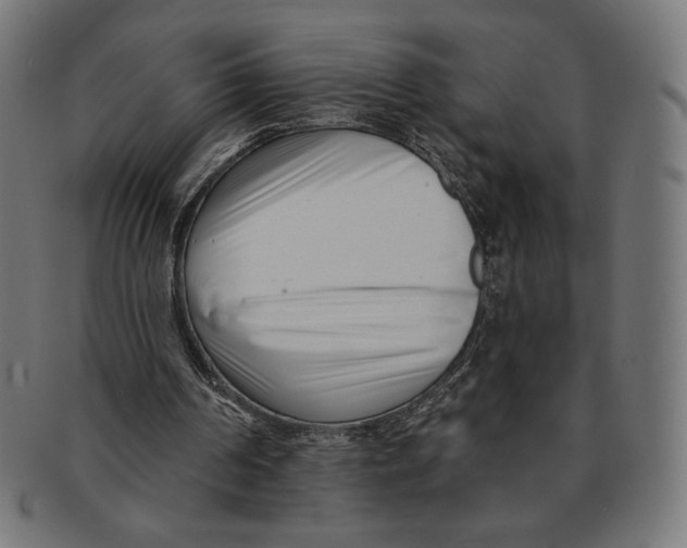 X0000091170194200709060941