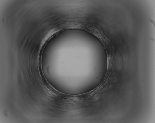 X0000091170195200709060941
