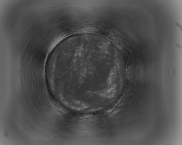 X0000091170196200709060941