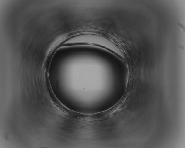 X0000091170197200709060941