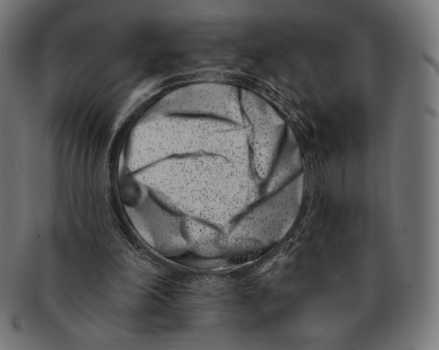 X0000091170198200709060941