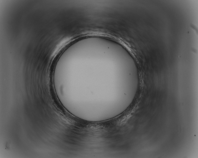 X0000091170199200709060941