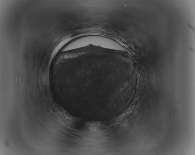 X0000091170200200709060941