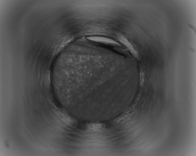 X0000091170202200709060941