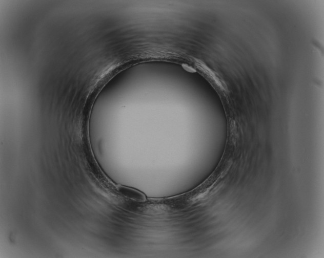 X0000091170203200709060941