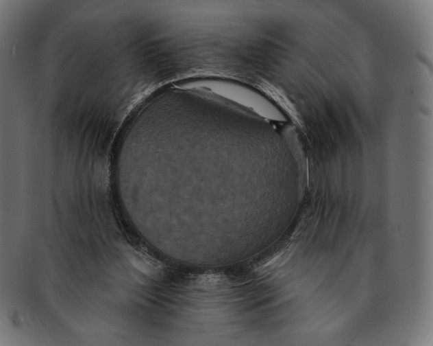 X0000091170204200709060941