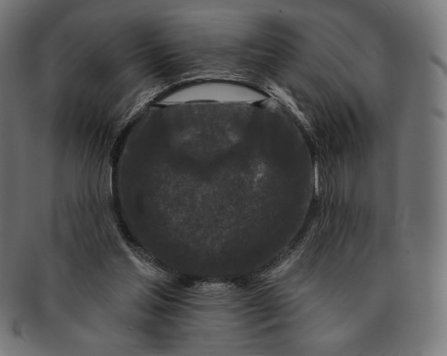 X0000091170205200709060941