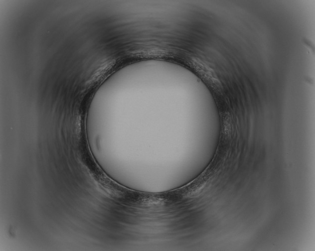 X0000091170206200709060941