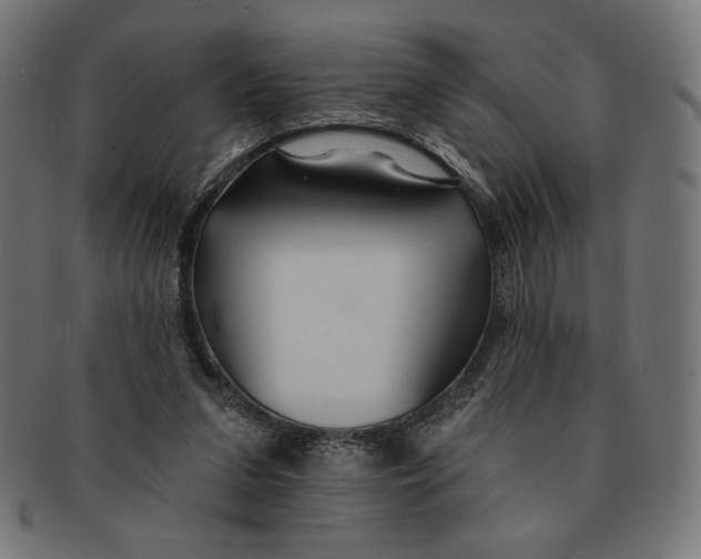 X0000091170207200709060941