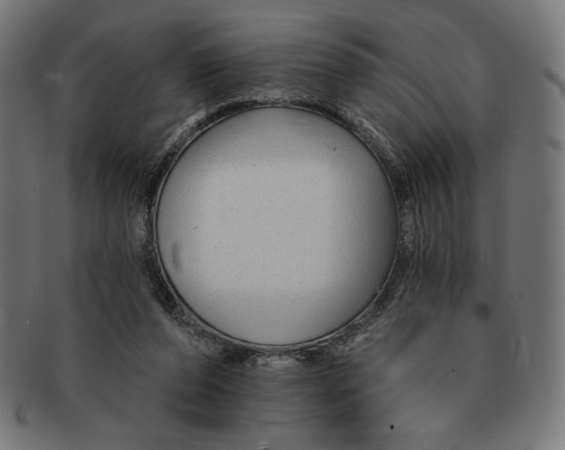 X0000091170208200709060940