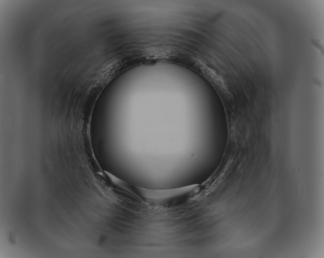 X0000091170209200709060940