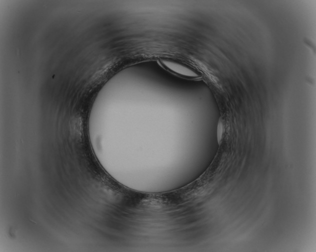 X0000091170211200709060940