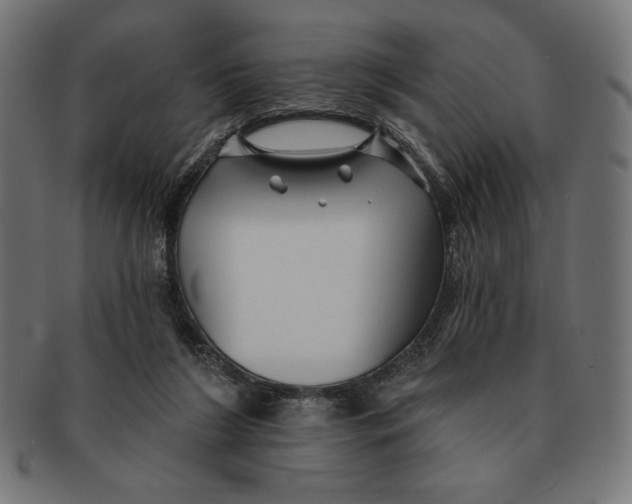 X0000091170212200709060940
