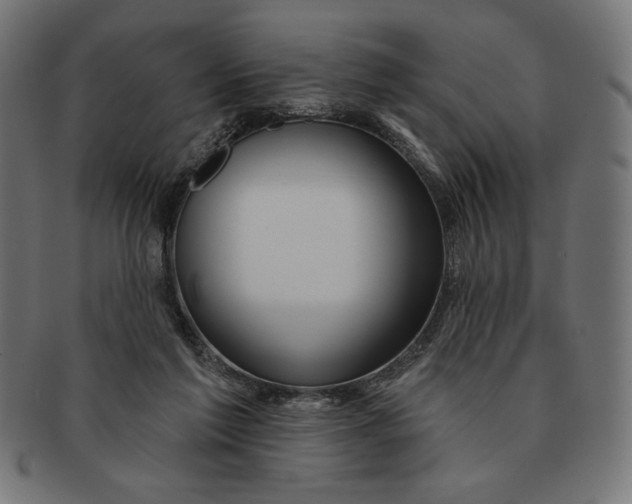 X0000091170213200709060940