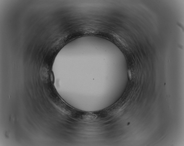 X0000091170215200709060940