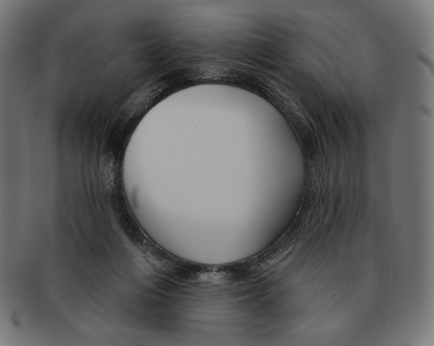 X0000091170216200709060940