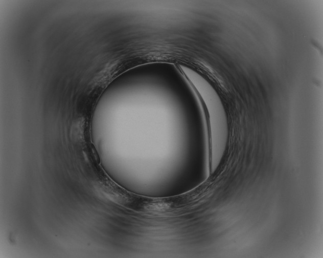 X0000091170217200709060940