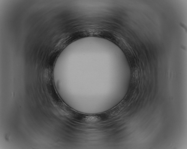 X0000091170218200709060940