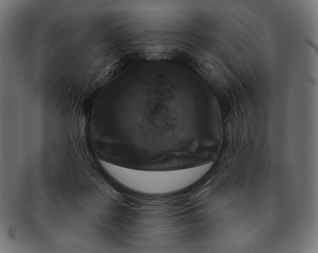 X0000091170219200709060940